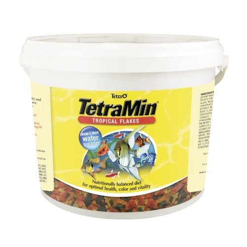 TetraMin Tropical Flake Fish Food, 4.52 lbs, for $31.59 at Amazon