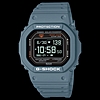 G-Shock Move 5600 $179