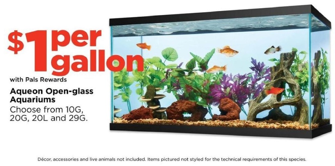 Petco Black Friday Aqueon Open Glass Aquariums Select From 10g