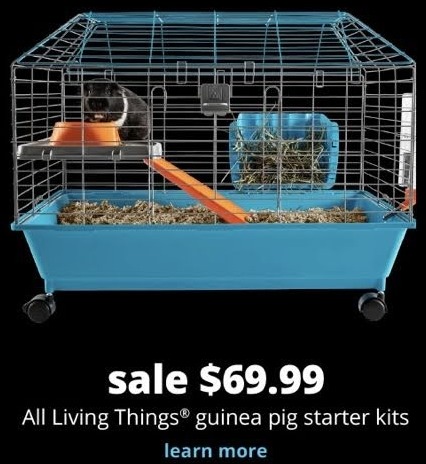 all living things guinea pig food