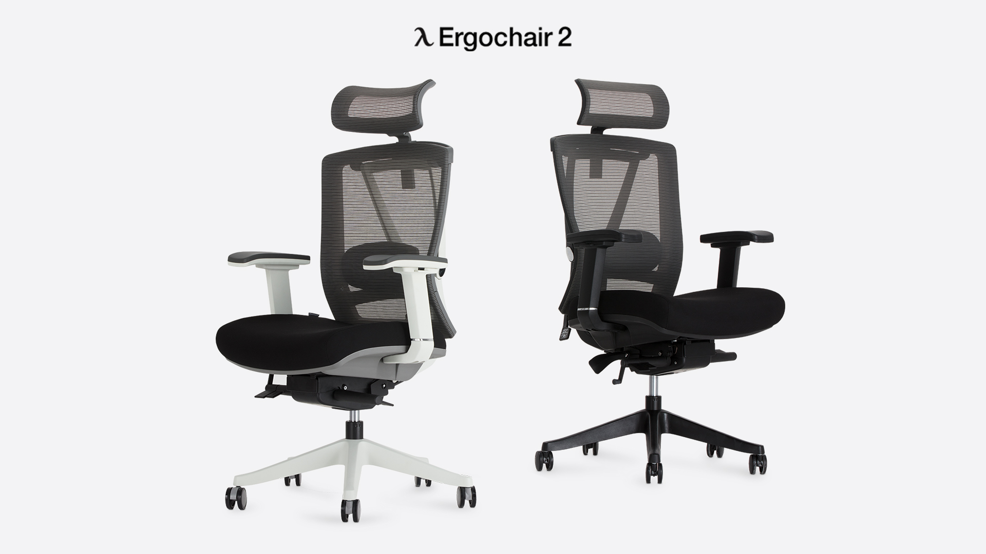 Ergochair 2 Free Shipping 50 Savings 299 99