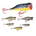 Cabela's Fisherman Series  Six-Piece Top Popper Assortment, Six-Piece Dig-It Assortment, Grave Digger 6-Piece Assortment or Six-Piece Rad Shad Assortment $14.99 each With F/S
