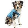 Kurgo Loft Reversible Insulated Dog Quilted Coat, Blue, Medium - $7.33 + $4.95 Shipping or Free Shipping Over $35+ for New Customers and $49+ for Existing Customers