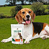 10% off already reduced holiday prices on Dog health supplements at Arnall's Naturals $35.1