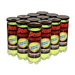 36-Count Penn Championship Extra Duty Felt Tennis Balls $30 + Free Shipping