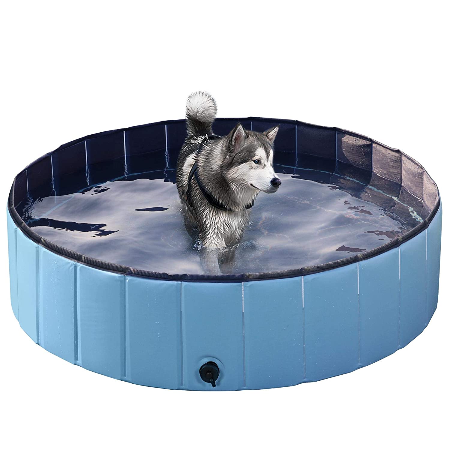 hard dog pool