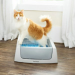 PetSafe ScoopFree Complete Classic Auto Self-Cleaning Large Litter Box (Grey) $99.95 + Free Shipping