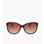 Fossil Sunglasses: Square Sunglass $13.60, Rounded Square Sunglass $11.25 &amp; More + Free Shipping