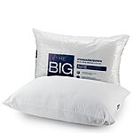 The Big One Microfiber Pillow (Queen/Standard) $2.55 + Free Store Pickup
