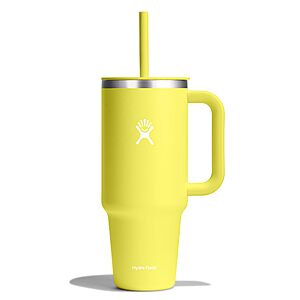 40-Oz Hydro Flask Insulated Stainless Steel All Around Travel Tumbler w/ Handle, Lid and Straw (Cactus) $24.36 + Free Shipping w/ Prime or on $35+