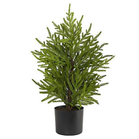 2' Nearly Natural Norfolk Island Pine Natural Look Artificial Tree in Decorative Planter $17.08 + Free Shipping w/ Prime or on $35+