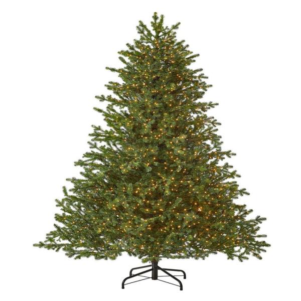 Home Decorators Collection 7.5 ft Elegant Grand Fir LED Pre-Lit Artificial Christmas Tree with 2000 Warm White Micro Dot Lights-21WL10163 - $199