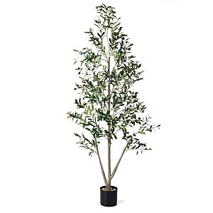 Olive Trees Artificial Indoor, 5FT Tall Faux Olive Tree with Moss and Planter, Artificial Plants Indoor with Natural Wood Trunk and Lifelike Fruits $31.99