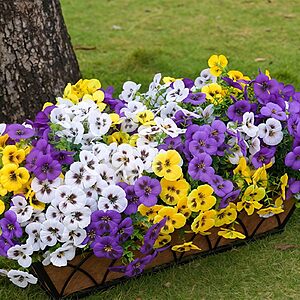 SupBri Artificial Silk Pansy Flowers with Decorative Butterflies, UV Resistant Waterproof No Fade Fake Flowers  (White Purple Yellow, 12 Bundles) $8.49