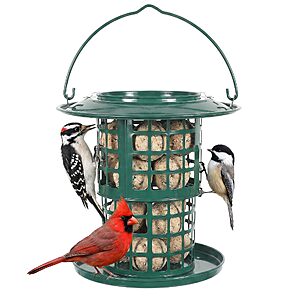 Suet Ball & Peanut Bird Feeder, Squirrel Proof Heavy-Duty Metal Suet Feeder $9.99