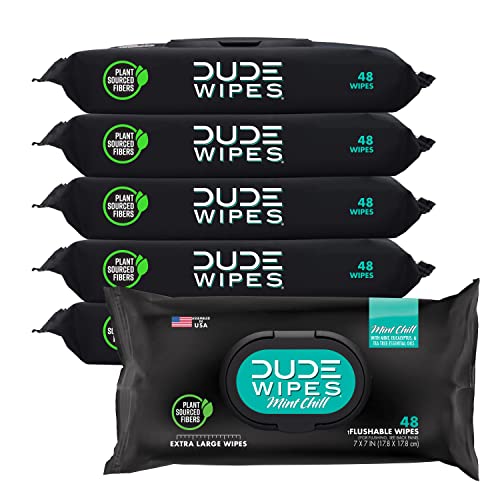 Prime Members: 6-Pack 48-Count DUDE Wipes Flushable Wet Wipes Dispenser (288 total wipes) $9 + free shipping