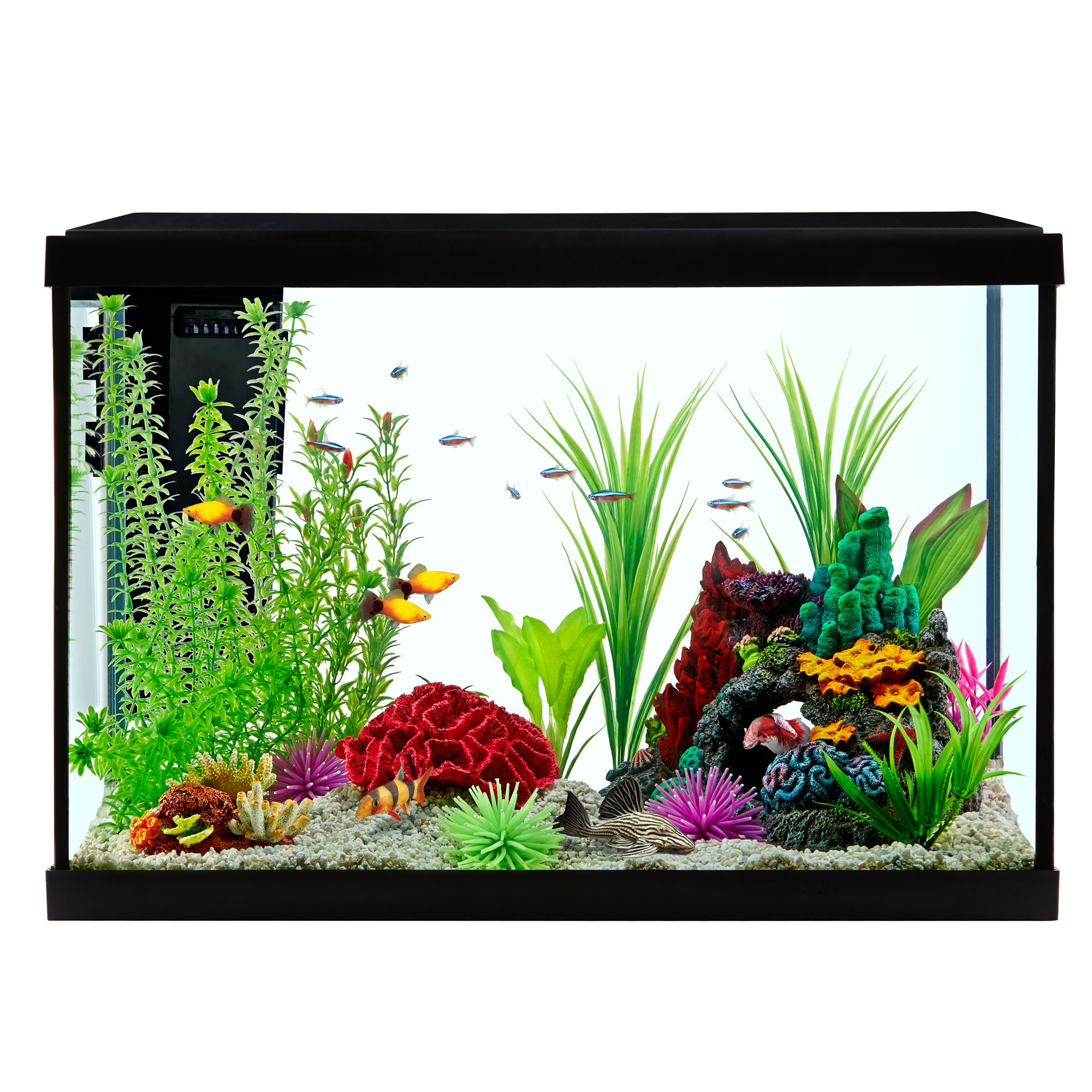 Grreat Choice Aquarium 20 Gal Starter Kit 52 Slickdeals Net