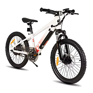 Joystar 250W eBike $271