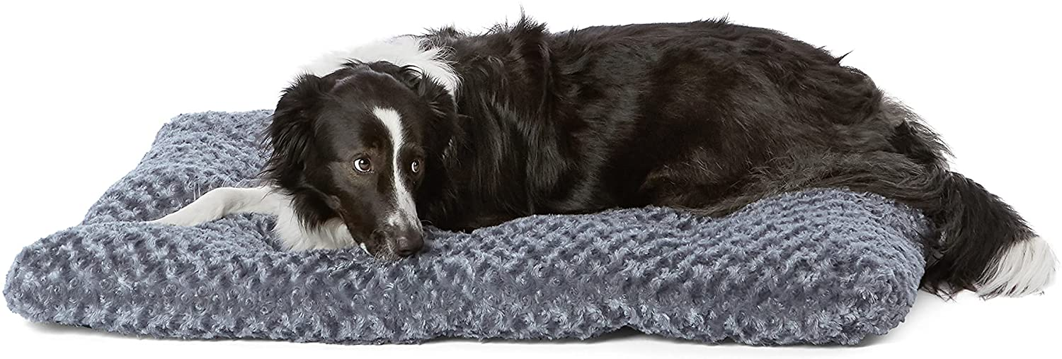 Amazon.com : Amazon Basics Pet Dog Bed Pad, 40 x 27 x 3.5 Inch - Large, Gray Swirl $16.19