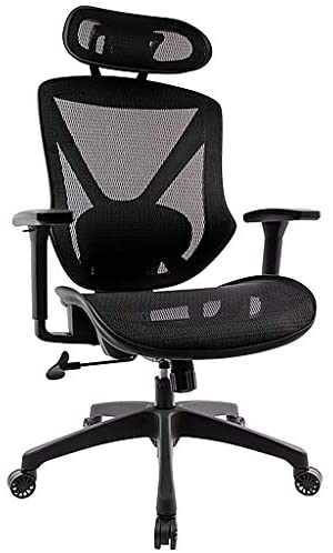 Dexley Mesh Task Chair $145 + Free Shipping