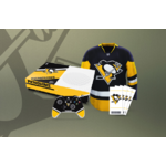Ea sports™ Pittsburgh Penguins Prize Pack  10/17/2018-11/14/2018