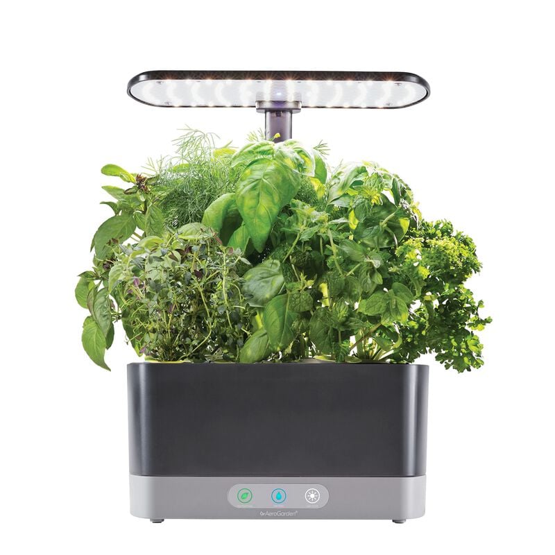 Aerogarden Harvest XL No promo code required. Accessories on Sale too
