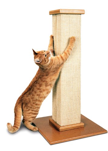 SmartCat Pioneer Pet Ultimate Scratching Post