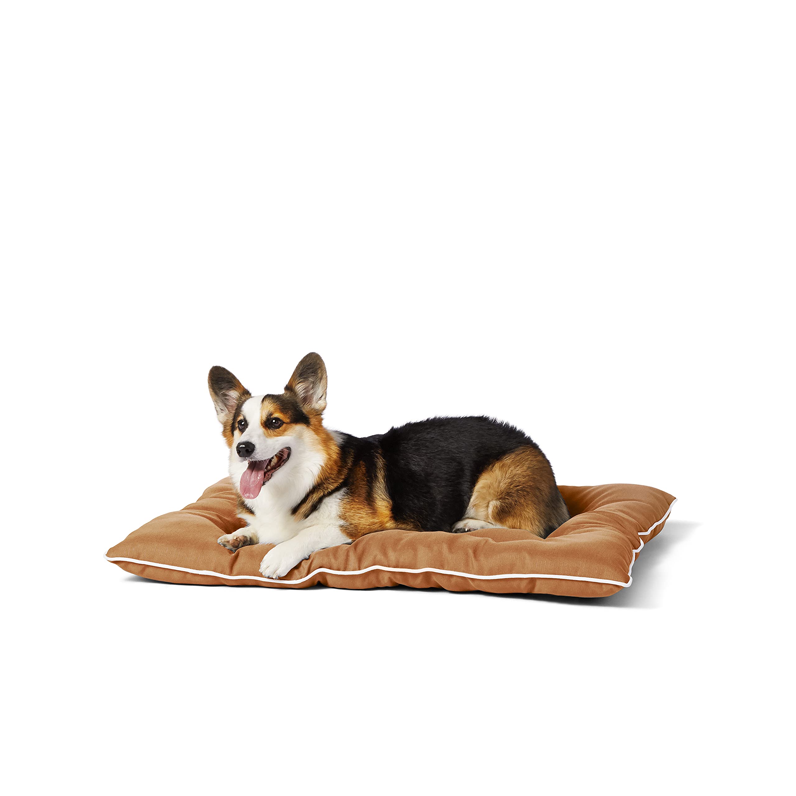 Amazon Basics Outdoor Water Repellent Pet Pillow Bed (Medium) $10.29 shipped w/ Prime