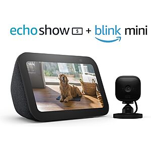 Echo sales show hue