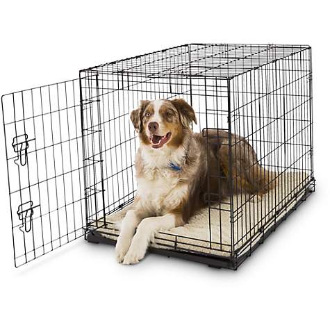 Petco Is Offering 70 Off Their Classic 1 Door Dog Cages Sizes X