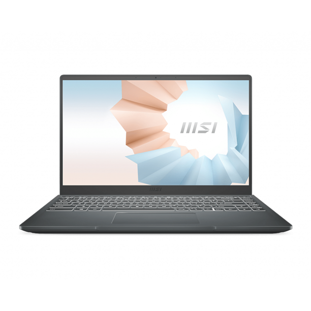 MSI Modern 14 Laptop: 14" Full HD IPS, Intel Core i5-10210U, 8GB DDR4, 256GB NVMe $499 + Free Shipping $490