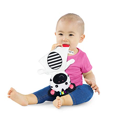 Baby Einstein Zen The Zebra Sensory Plush Teether Toy $3.98 + Free Shipping w/ Prime or on $25+