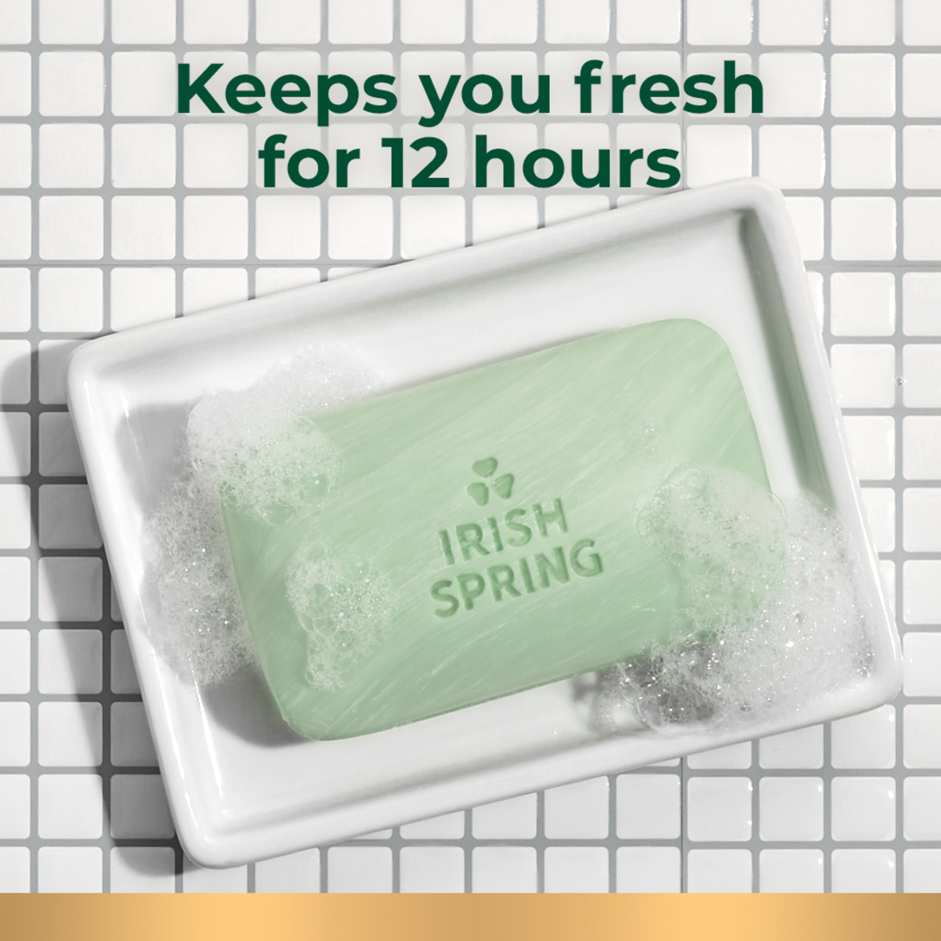 12-Pack 3.7-Oz Irish Spring Aloe Mist Bar Soap $5.67 + Free Shipping w/ Walmart+ or $35+