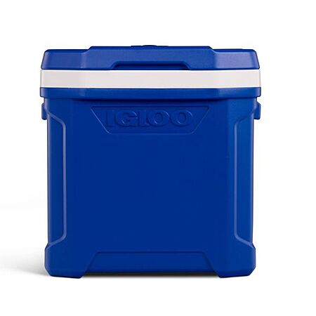 Almost 50% Off Igloo Cooler!