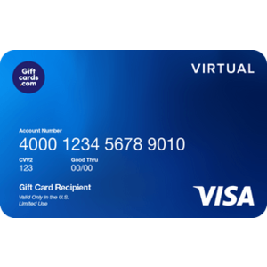 $100 Visa Virtual eGift Account $95.95 (Fees Included; Email Delivery)
