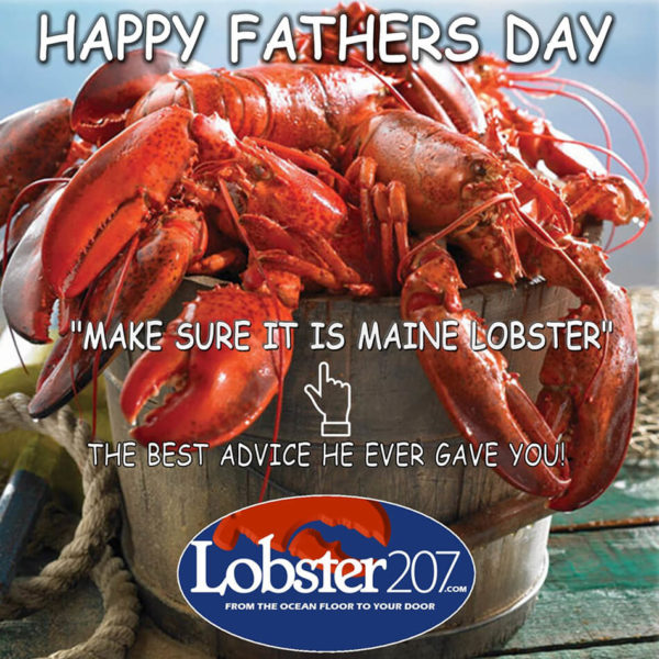 20 Lbs Live Maine Lobsters