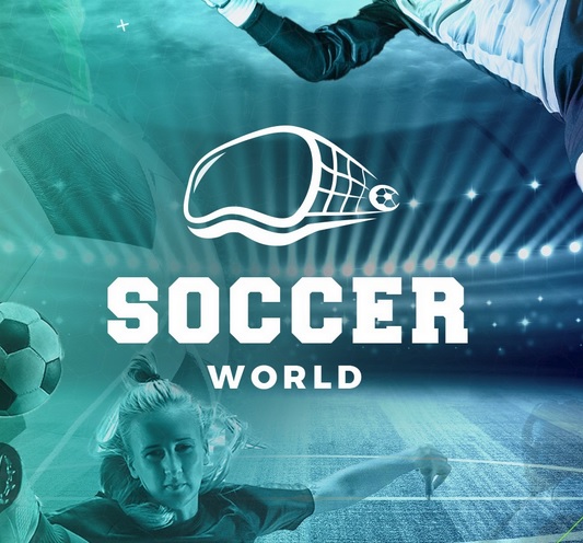 oculus quest 2 soccer game