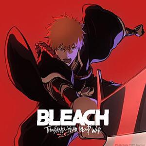 Bleach Thousand Year Blood War Season 1 2022 Digital HD Anime