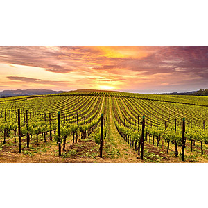 Napa Valley Marriott Hotel & Spa Bundle: 2-Night Stay for 2-Guests w/ Amenities $499 (Book by 3/31 & Travel thru Sept)