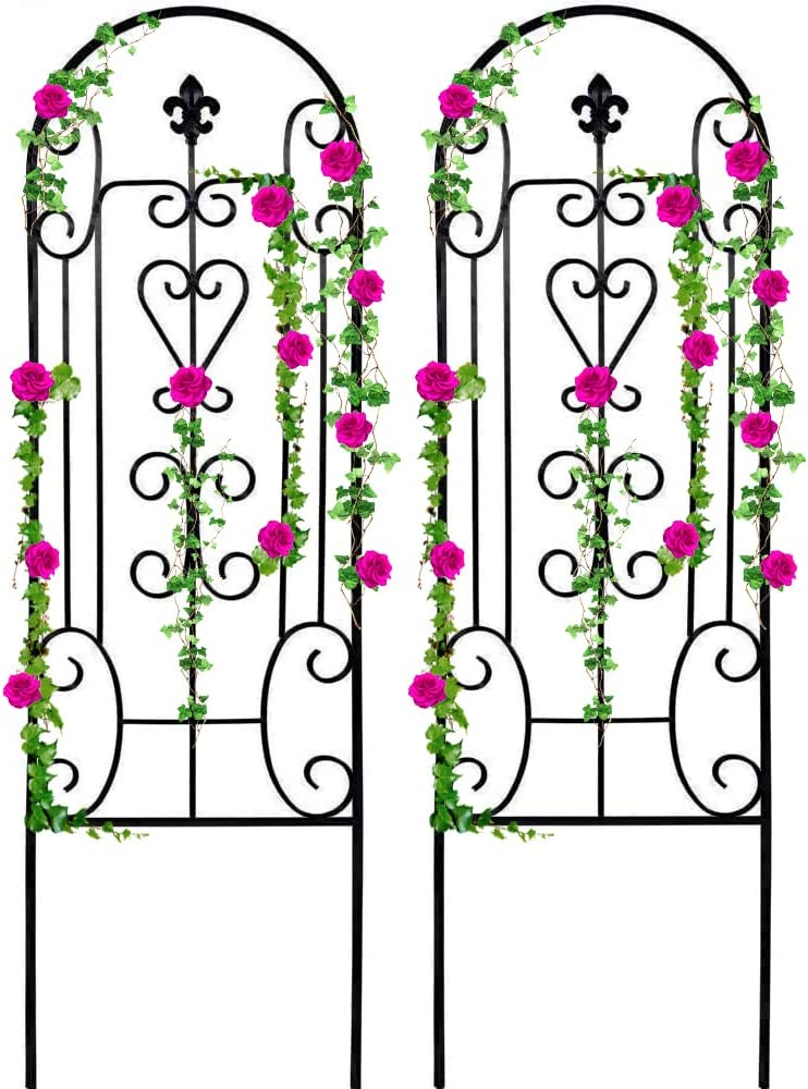 Amagabeli 2 Pack Garden Trellis for Climbing Plants 60" x 18" Black Iron Potted Support Vines Metal Wire Plant Trellis for Climbing Vegetables Flower Patio Roses Cucum