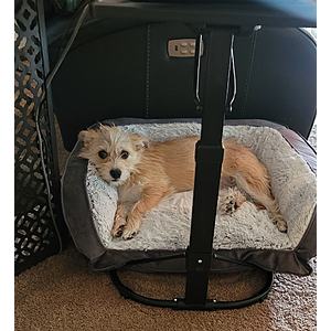 Serta perfect sleeper memory foam blend couch pet bed clearance