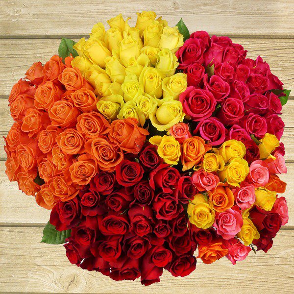 Costco Members: 2-Dozen Premium Roses (Assorted Colors)