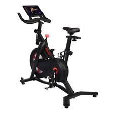 Sam s club deals exercise bike