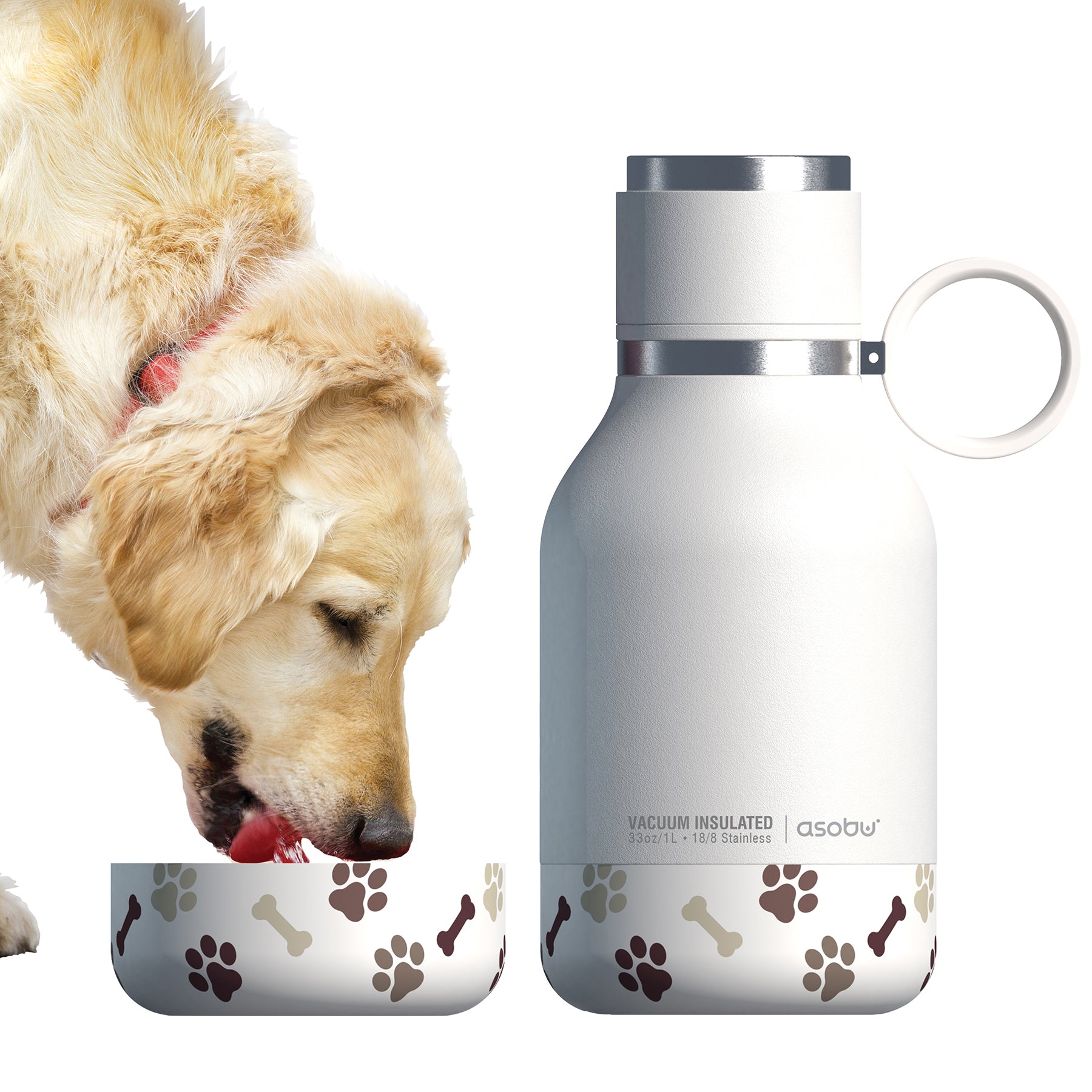 Asobu Dog Bowl Bottle Costco