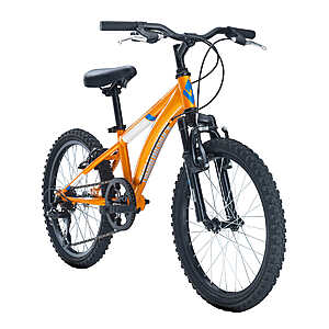 Costco best sale youth bikes