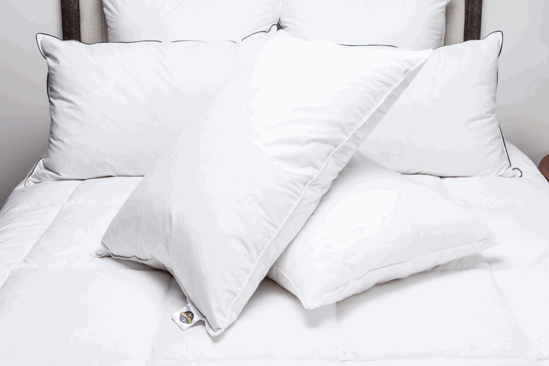 Pacific Coast Double Down Surround Pillow Super Standard