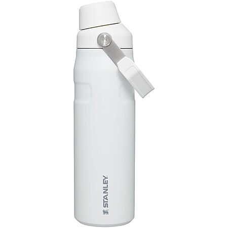 STANLEY IceFlow Fast Flow Water Bottle 24 oz | Angled Spout Lid | Lightweight and Leakproof for Travel and Sports for $17.5