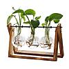 3-Bulb Vase XXXFLOWER Plant Terrarium with Wooden Stand $9.99 + Free Shipping w/ Prime or on $35+