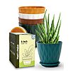 5-Pack 6&amp;quot; Goproauto Indoor Planter Pots with Drainage Hole and Tray Saucer (Multicolor)  $7.73 + Free Shipping w/ Prime or on $35+