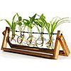 XXXFlower 5-Bulb Vase Plant Terrarium Air Planter w/ Wooden Stand  $10.49 + Free Shipping w/ Prime or on $35+